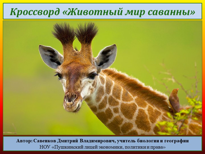 Кроссворд по географии "Животный мир саванны" - Скачать презентации бесплатно | Читать или скачать учебники для школы онлайн бесплатно ☑ Школьные учебники school-textbook.com