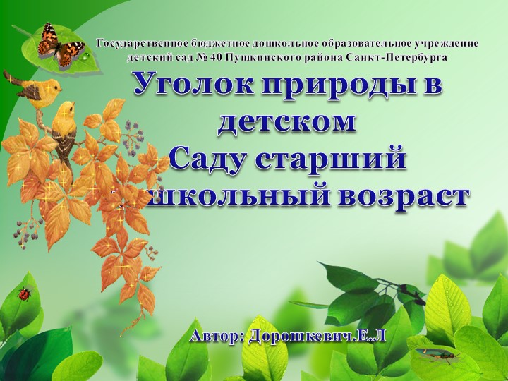 Презентация "УГОЛОК природы в детском саду в старшем дошкольном возрасте" - Скачать презентации бесплатно | Читать или скачать учебники для школы онлайн бесплатно ☑ Школьные учебники school-textbook.com