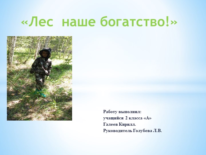 Презентация "Лес - наше богатство" - Скачать презентации бесплатно | Читать или скачать учебники для школы онлайн бесплатно ☑ Школьные учебники school-textbook.com