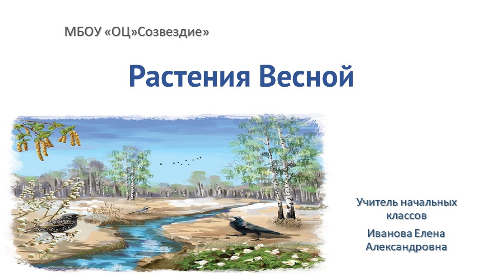 Презентация по миру природы и человека на тему "Растения весной" 4 класс - Скачать презентации бесплатно | Читать или скачать учебники для школы онлайн бесплатно ☑ Школьные учебники school-textbook.com