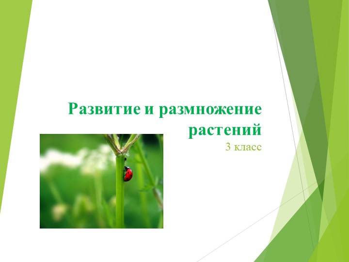 Презентация к уроку окружающего мира на тему "Развитие и размножение растений" - Скачать презентации бесплатно | Читать или скачать учебники для школы онлайн бесплатно ☑ Школьные учебники school-textbook.com