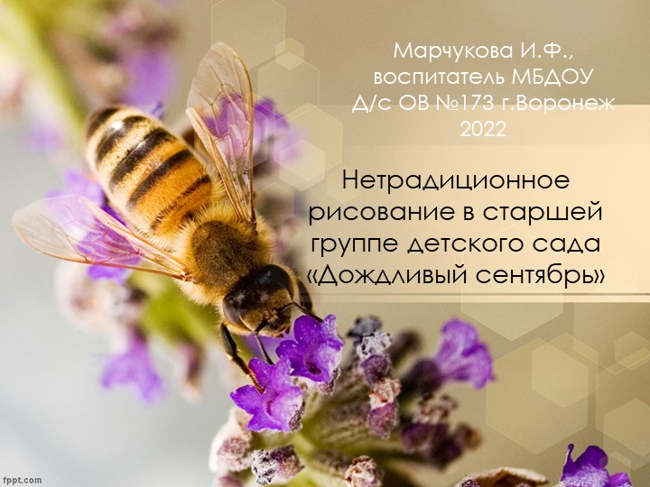 Нетрадиционное рисование в старшей группе детского сада "Дождливый сентябрь". - Скачать презентации бесплатно | Читать или скачать учебники для школы онлайн бесплатно ☑ Школьные учебники school-textbook.com