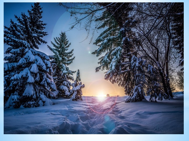 Презентация "Зимующие птицы" средняя группа - Скачать презентации бесплатно | Читать или скачать учебники для школы онлайн бесплатно ☑ Школьные учебники school-textbook.com