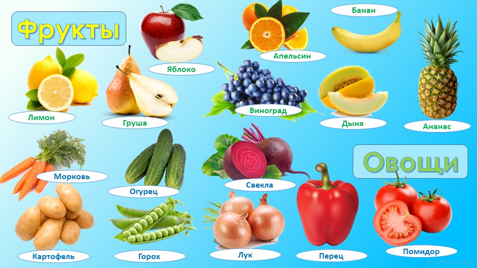 Презентация "Овощи и фрукты" - Скачать презентации бесплатно | Читать или скачать учебники для школы онлайн бесплатно ☑ Школьные учебники school-textbook.com