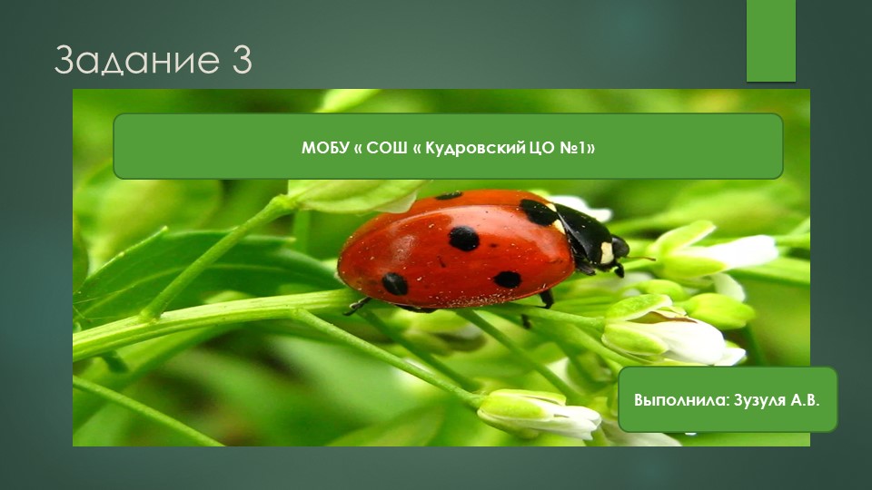 Подготовка к выполнению задания 3( ЕГЭ-2023) - Скачать презентации бесплатно | Читать или скачать учебники для школы онлайн бесплатно ☑ Школьные учебники school-textbook.com