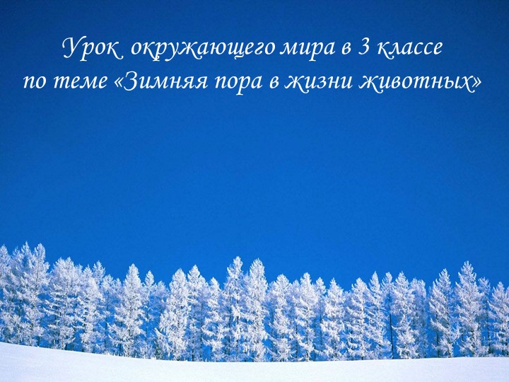 Презентация урока окружающего мира в 3 классе на тему Зимняя пора в жизни животных - Скачать презентации бесплатно | Читать или скачать учебники для школы онлайн бесплатно ☑ Школьные учебники school-textbook.com