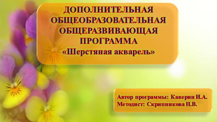 ДОПОЛНИТЕЛЬНАЯ ОБЩЕОБРАЗОВАТЕЛЬНАЯ ОБЩЕРАЗВИВАЮЩАЯ ПРОГРАММА «Шерстяная акварель» - Скачать презентации бесплатно | Читать или скачать учебники для школы онлайн бесплатно ☑ Школьные учебники school-textbook.com