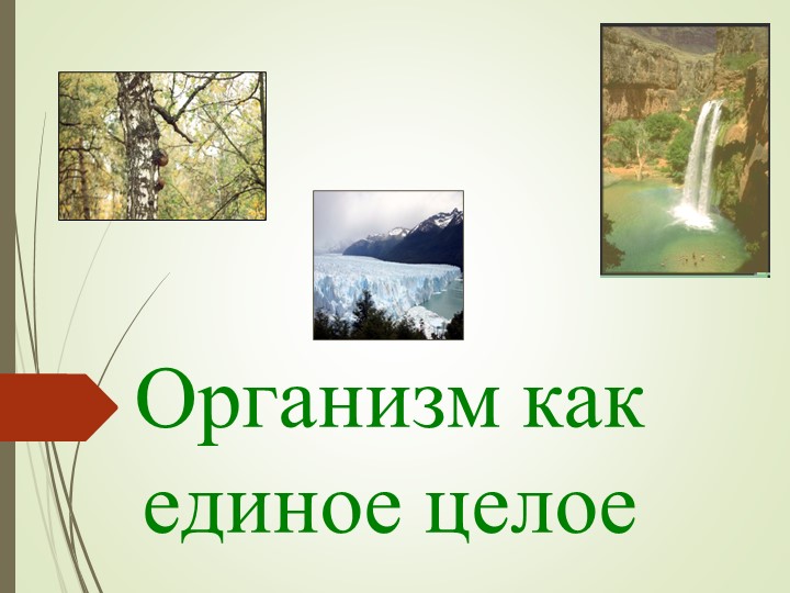 "Организм, как единое целое" - Скачать презентации бесплатно | Читать или скачать учебники для школы онлайн бесплатно ☑ Школьные учебники school-textbook.com