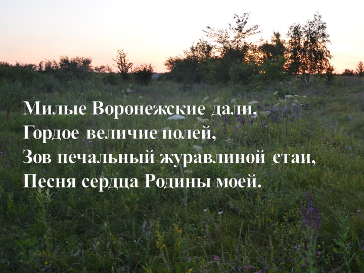 Презентация для внеклассного занятия "Воронежская область" - Скачать презентации бесплатно | Читать или скачать учебники для школы онлайн бесплатно ☑ Школьные учебники school-textbook.com