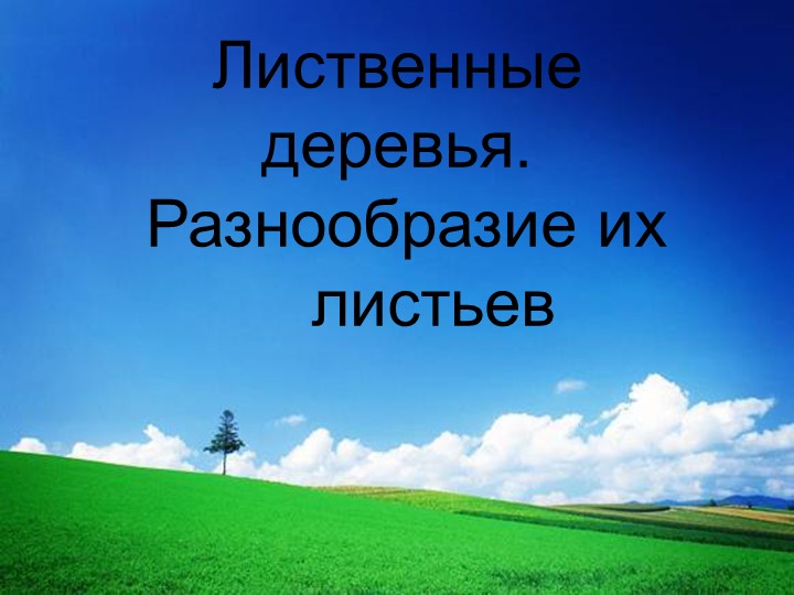Презентация по окружающему миру на тему " Лиственные деревья" 1 класс - Скачать презентации бесплатно | Читать или скачать учебники для школы онлайн бесплатно ☑ Школьные учебники school-textbook.com