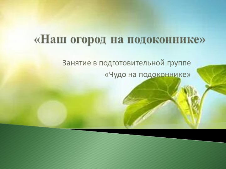 Презентация "Чудо на подоконнике" - Скачать презентации бесплатно | Читать или скачать учебники для школы онлайн бесплатно ☑ Школьные учебники school-textbook.com
