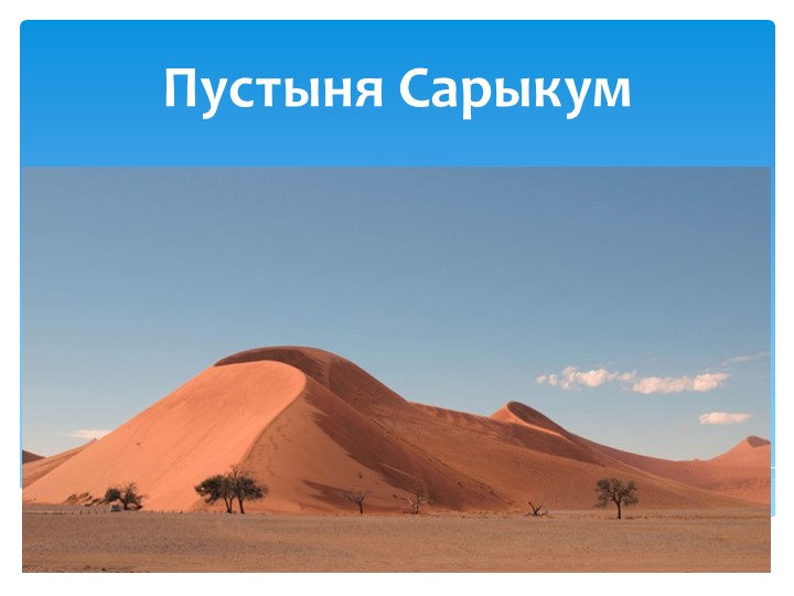 Презентация "Растительный и животный мир пустыни Сарыкум" Средняя гр. - Скачать презентации бесплатно | Читать или скачать учебники для школы онлайн бесплатно ☑ Школьные учебники school-textbook.com