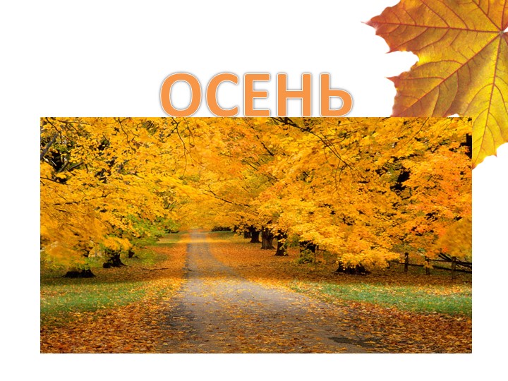 Презентация "Признаки осени" для младших дошкольников. - Скачать презентации бесплатно | Читать или скачать учебники для школы онлайн бесплатно ☑ Школьные учебники school-textbook.com