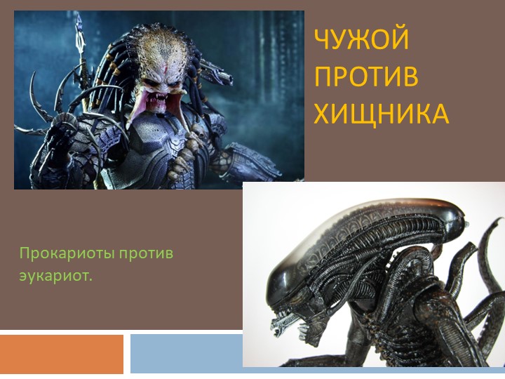 Презентация по биологии: "Прокариоты против эукариот" - Скачать презентации бесплатно | Читать или скачать учебники для школы онлайн бесплатно ☑ Школьные учебники school-textbook.com