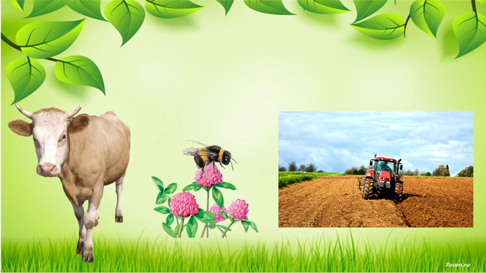 Презентация по окружающему миру "Что такое экология?" 3 класс - Скачать презентации бесплатно | Читать или скачать учебники для школы онлайн бесплатно ☑ Школьные учебники school-textbook.com