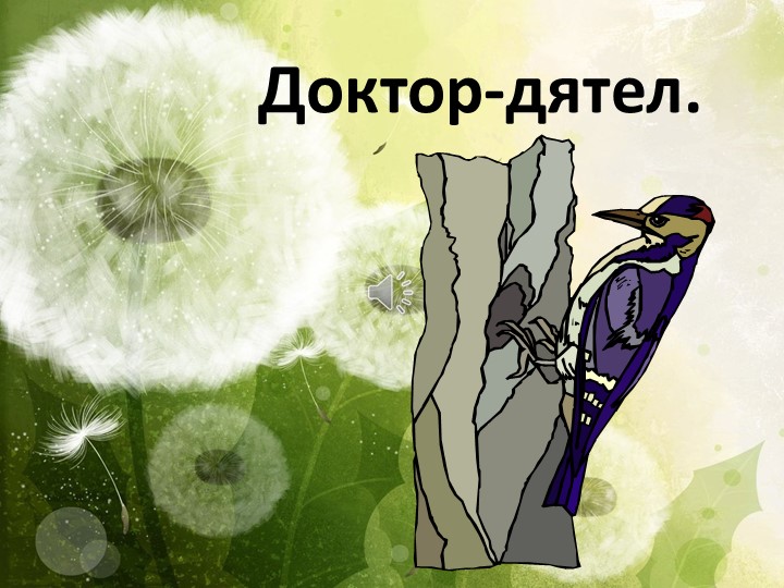 Презентация на тему "Дятел" - Скачать презентации бесплатно | Читать или скачать учебники для школы онлайн бесплатно ☑ Школьные учебники school-textbook.com