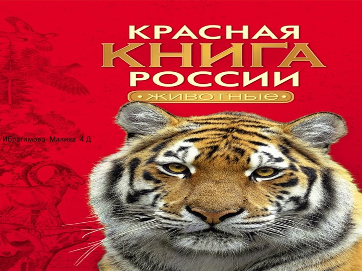 Животные Татарстана в Красной книге - Скачать презентации бесплатно | Читать или скачать учебники для школы онлайн бесплатно ☑ Школьные учебники school-textbook.com