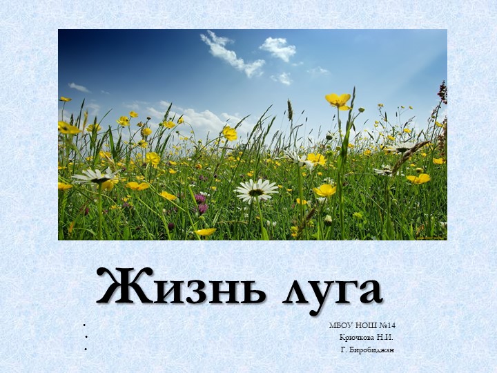 Презентация по окружающему миру на тему "Жизнь луга" (3 класс) - Скачать презентации бесплатно | Читать или скачать учебники для школы онлайн бесплатно ☑ Школьные учебники school-textbook.com