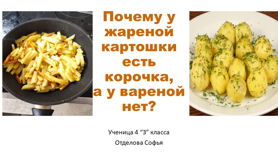 Проектная работа "Почему у жареной картошки есть корочка, а у варёной нет" - Скачать презентации бесплатно | Читать или скачать учебники для школы онлайн бесплатно ☑ Школьные учебники school-textbook.com