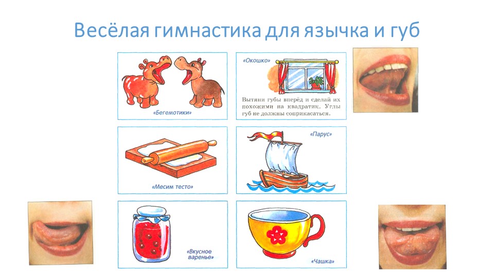 Постановка и автоматизация звука Ш - Скачать презентации бесплатно | Читать или скачать учебники для школы онлайн бесплатно ☑ Школьные учебники school-textbook.com