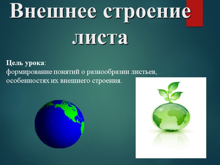Презентация "Внешнее строение листа". - Скачать презентации бесплатно | Читать или скачать учебники для школы онлайн бесплатно ☑ Школьные учебники school-textbook.com