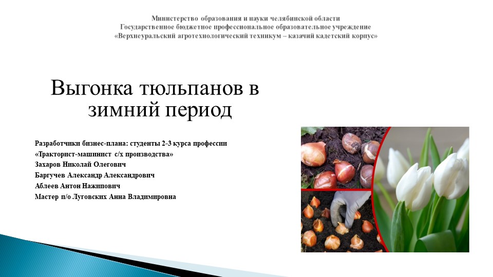 Презентация Бизнес-план "Выгонка тюльпанов в зимний период" - Скачать презентации бесплатно | Читать или скачать учебники для школы онлайн бесплатно ☑ Школьные учебники school-textbook.com