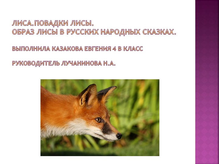 "Лиса. Повадки лисы. Образ лисы в русских народных сказках" - Скачать презентации бесплатно | Читать или скачать учебники для школы онлайн бесплатно ☑ Школьные учебники school-textbook.com