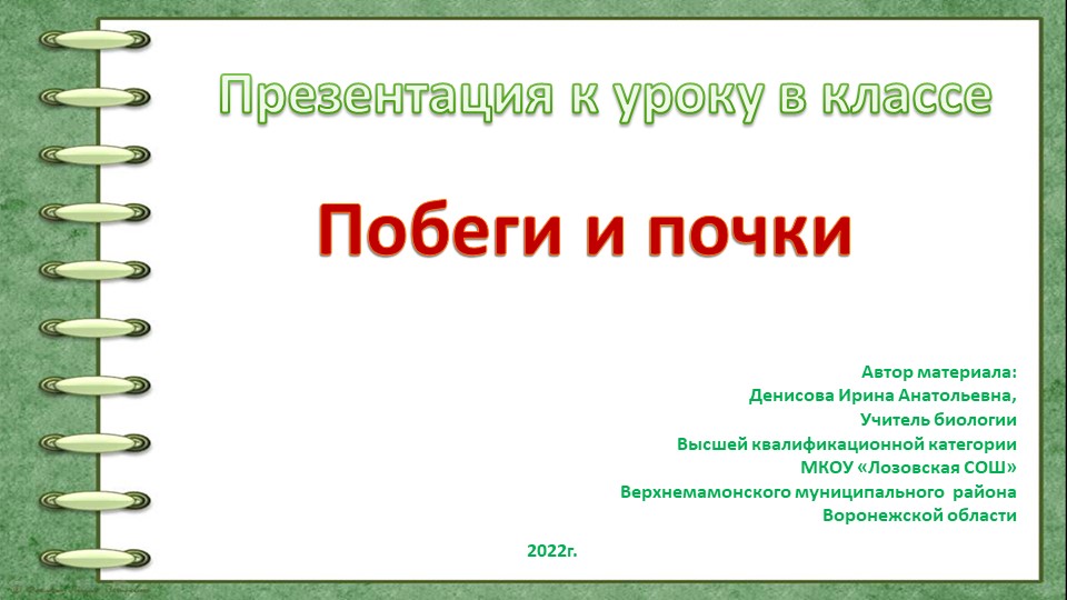 Презентация к уроку биологии на тему "Побег и почки"( 6 класс) - Скачать презентации бесплатно | Читать или скачать учебники для школы онлайн бесплатно ☑ Школьные учебники school-textbook.com