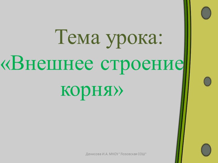 Презентация к уроку биологии на тему "Внешнее строение корня" (6 класс) - Скачать презентации бесплатно | Читать или скачать учебники для школы онлайн бесплатно ☑ Школьные учебники school-textbook.com