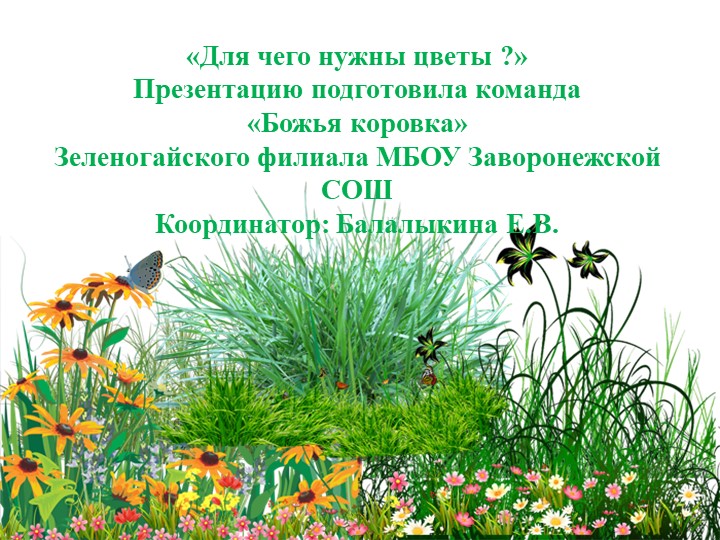 Презентация по окружающему миру "Для чего нужны цветы?" для начальных классов - Скачать презентации бесплатно | Читать или скачать учебники для школы онлайн бесплатно ☑ Школьные учебники school-textbook.com