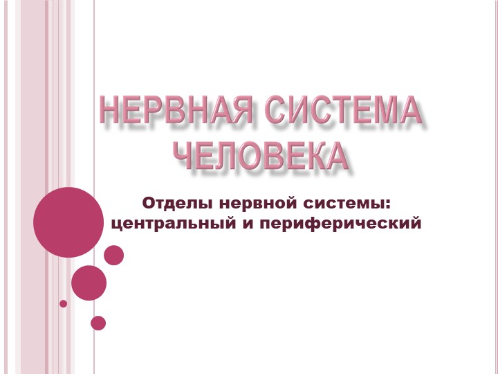 Презентация "Нервная система человека. Отделы нервной системы: Центральный и периферический" - Скачать презентации бесплатно | Читать или скачать учебники для школы онлайн бесплатно ☑ Школьные учебники school-textbook.com