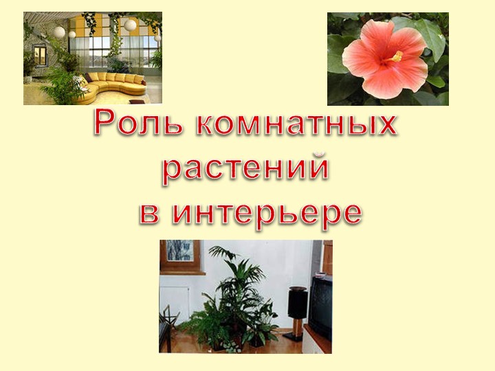 Презентация по технологии на тему «Роль комнатных растений в интерьере. Их влияние на микроклимат в помещении» (6 класс) - Скачать презентации бесплатно | Читать или скачать учебники для школы онлайн бесплатно ☑ Школьные учебники school-textbook.com