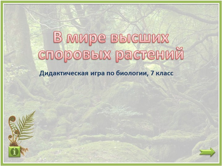Дидактическая игра "В мире споровых растений" - Скачать презентации бесплатно | Читать или скачать учебники для школы онлайн бесплатно ☑ Школьные учебники school-textbook.com