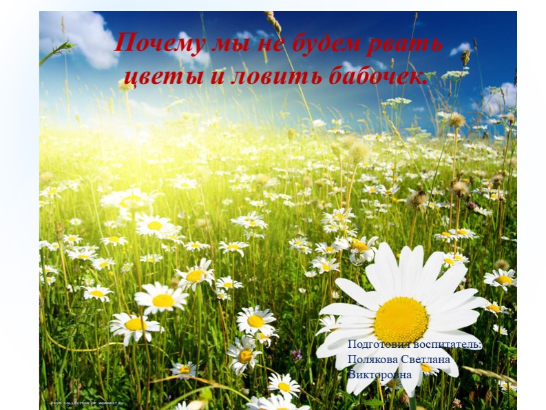 Презентация "Почему мы не будем рвать цветы и ловить бабочек" Цель: Познакомить дошкольников с цветами и бабочками. Воспитывать бережное отношение к природе. - Скачать презентации бесплатно | Читать или скачать учебники для школы онлайн бесплатно ☑ Школьные учебники school-textbook.com