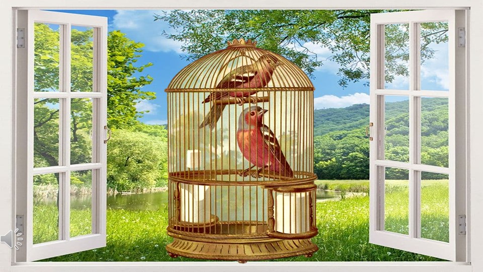 Презентация по слушанию музыки в средней группе детского сада "Наши друзья" - Скачать презентации бесплатно | Читать или скачать учебники для школы онлайн бесплатно ☑ Школьные учебники school-textbook.com