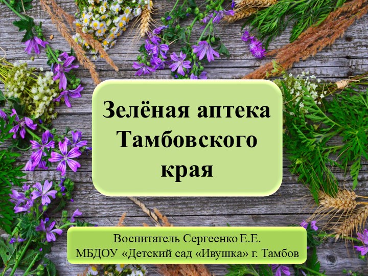 Презентация "Зелёная аптека Тамбовского края" - Скачать презентации бесплатно | Читать или скачать учебники для школы онлайн бесплатно ☑ Школьные учебники school-textbook.com