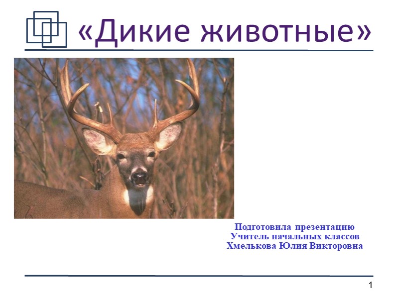 Презентация по миру природы и человека по теме: "Дикие животные". - Скачать презентации бесплатно | Читать или скачать учебники для школы онлайн бесплатно ☑ Школьные учебники school-textbook.com