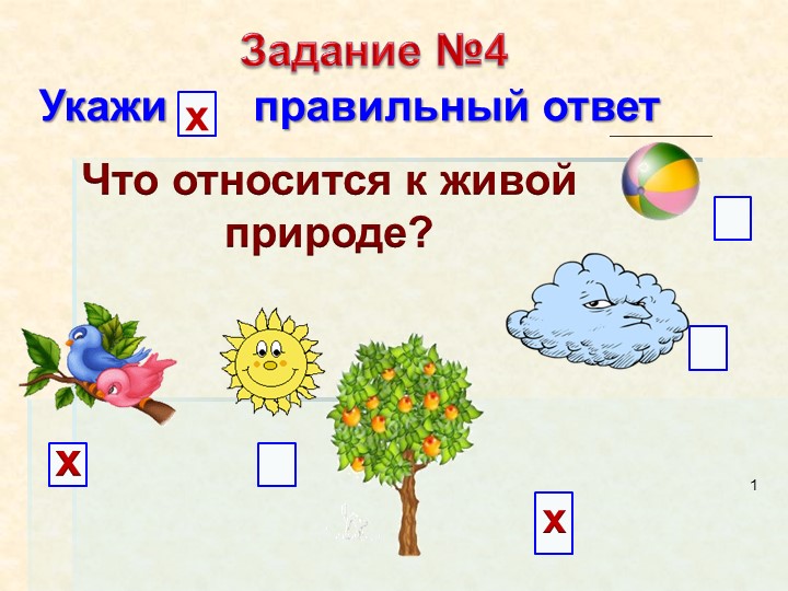 Презентация по миру природы и человека по теме: "Строение и сходство растений". - Скачать презентации бесплатно | Читать или скачать учебники для школы онлайн бесплатно ☑ Школьные учебники school-textbook.com