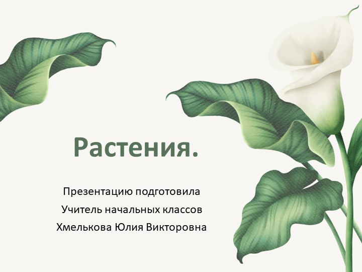 Презентация по миру природы и человека по теме: "Растения".  - Скачать презентации бесплатно | Читать или скачать учебники для школы онлайн бесплатно ☑ Школьные учебники school-textbook.com