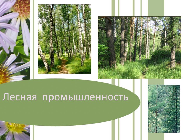 Презентация по географии "Лесная промышленность" - Скачать презентации бесплатно | Читать или скачать учебники для школы онлайн бесплатно ☑ Школьные учебники school-textbook.com