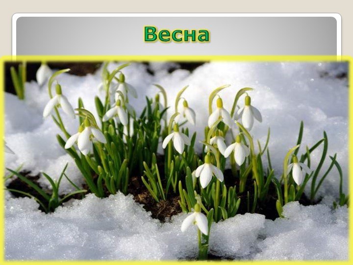 Презентация по миру природы и человека на тему: "Весна". - Скачать презентации бесплатно | Читать или скачать учебники для школы онлайн бесплатно ☑ Школьные учебники school-textbook.com
