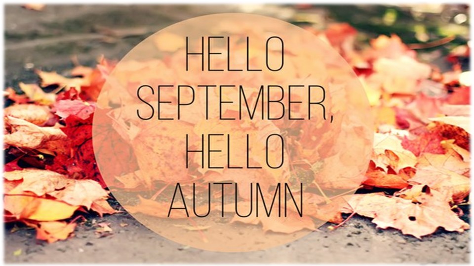 Презентация "My place" Spotlight 6 - Скачать презентации бесплатно | Читать или скачать учебники для школы онлайн бесплатно ☑ Школьные учебники school-textbook.com