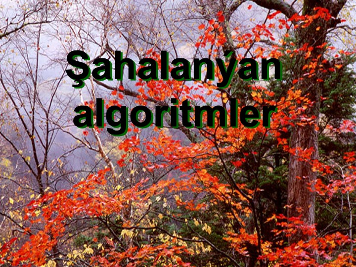 Презентация по информатике на тему "Алгоритм ветвления" - Скачать презентации бесплатно | Читать или скачать учебники для школы онлайн бесплатно ☑ Школьные учебники school-textbook.com