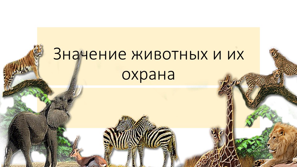 Презентация по биологии "Значение животных и их охрана" - Скачать презентации бесплатно | Читать или скачать учебники для школы онлайн бесплатно ☑ Школьные учебники school-textbook.com