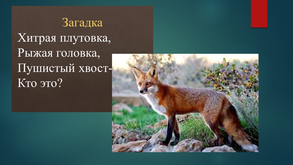 Презентация по изо "Животное - лиса" - Скачать презентации бесплатно | Читать или скачать учебники для школы онлайн бесплатно ☑ Школьные учебники school-textbook.com