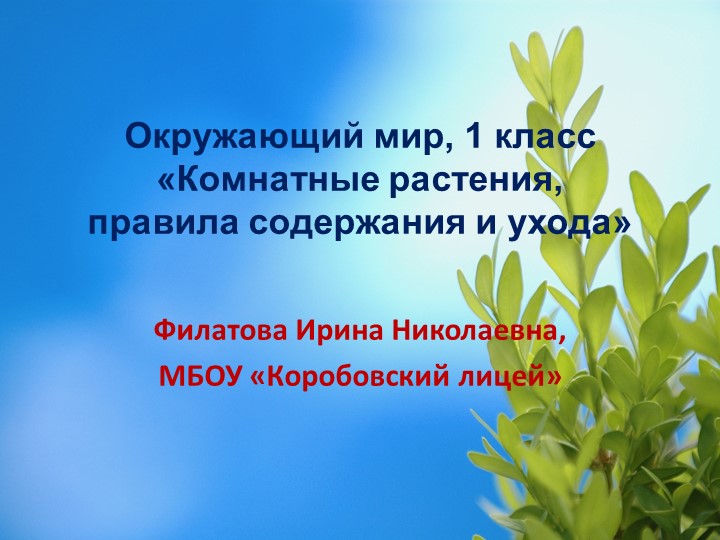 Презентация по окружающему миру на тему "Комнатные растения, правила содержания и ухода" (1 класс) - Скачать презентации бесплатно | Читать или скачать учебники для школы онлайн бесплатно ☑ Школьные учебники school-textbook.com