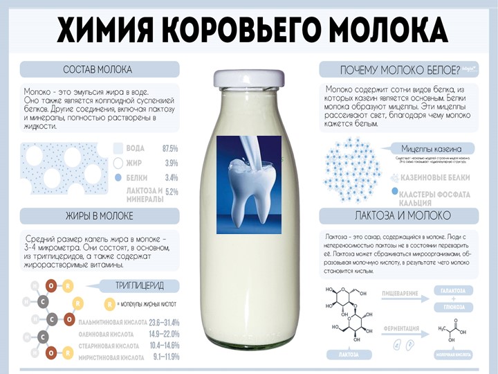 Презентация:" Молоко.Полезный ли это продукт?" - Скачать презентации бесплатно | Читать или скачать учебники для школы онлайн бесплатно ☑ Школьные учебники school-textbook.com