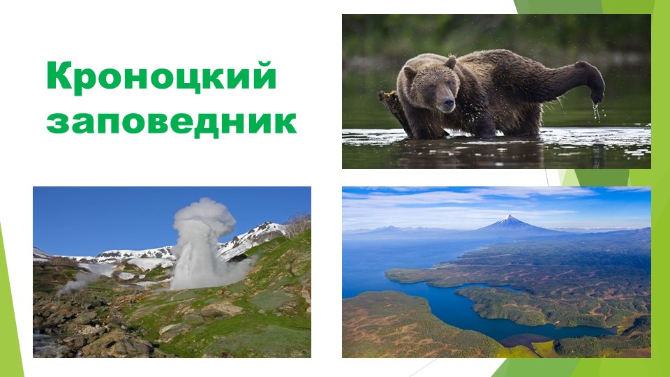 Презентация по окружающему миру 3 класс Парки, заповедники и заказкники Камчатки - Скачать презентации бесплатно | Читать или скачать учебники для школы онлайн бесплатно ☑ Школьные учебники school-textbook.com