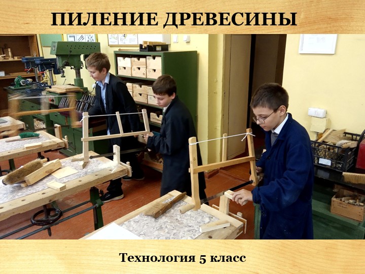 Презентация по технологии "Пиление древесины" 5 класс - Скачать презентации бесплатно | Читать или скачать учебники для школы онлайн бесплатно ☑ Школьные учебники school-textbook.com