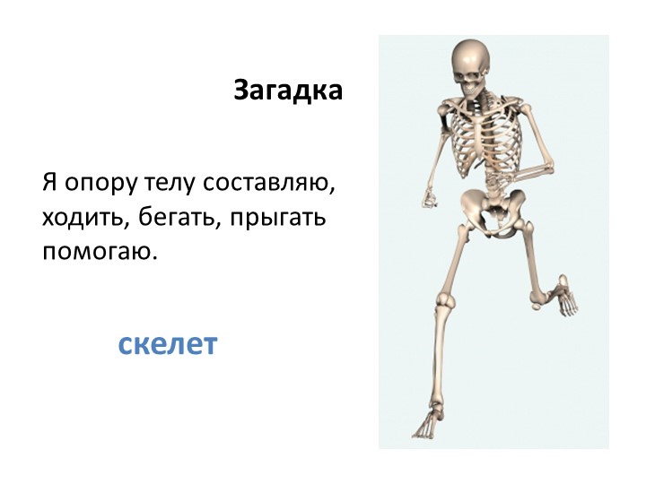 Презентация по миру природы и человека по теме: "Для чего нужен скелет человека".  - Скачать презентации бесплатно | Читать или скачать учебники для школы онлайн бесплатно ☑ Школьные учебники school-textbook.com